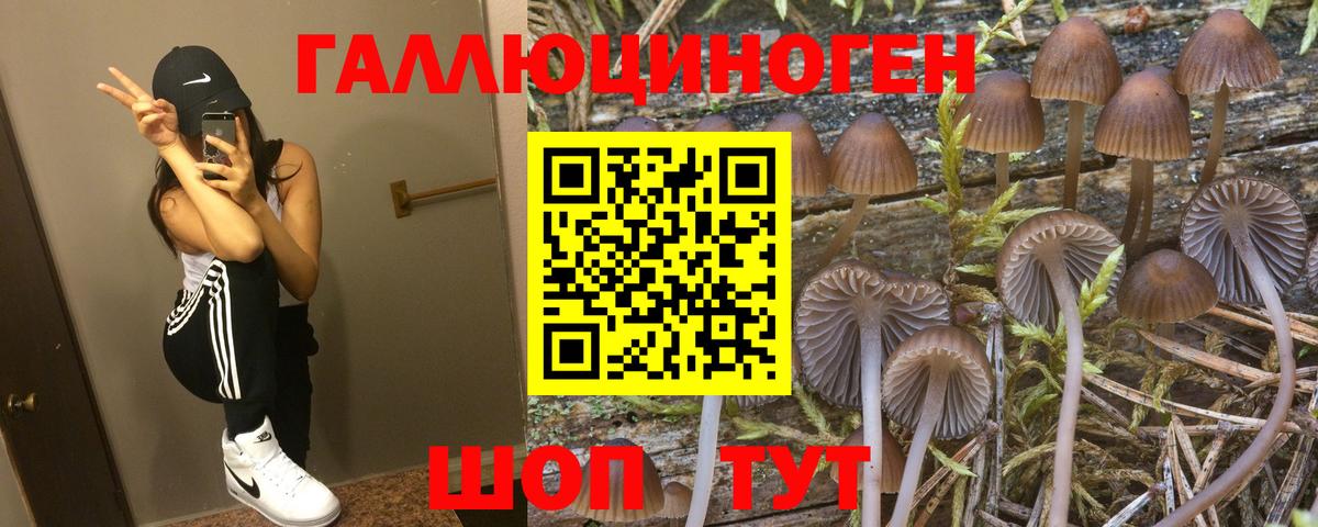 Псилоцибиновые грибы ЛСД  Вход с VPN  Чусовой  Галлюциногенные грибы мицелий 